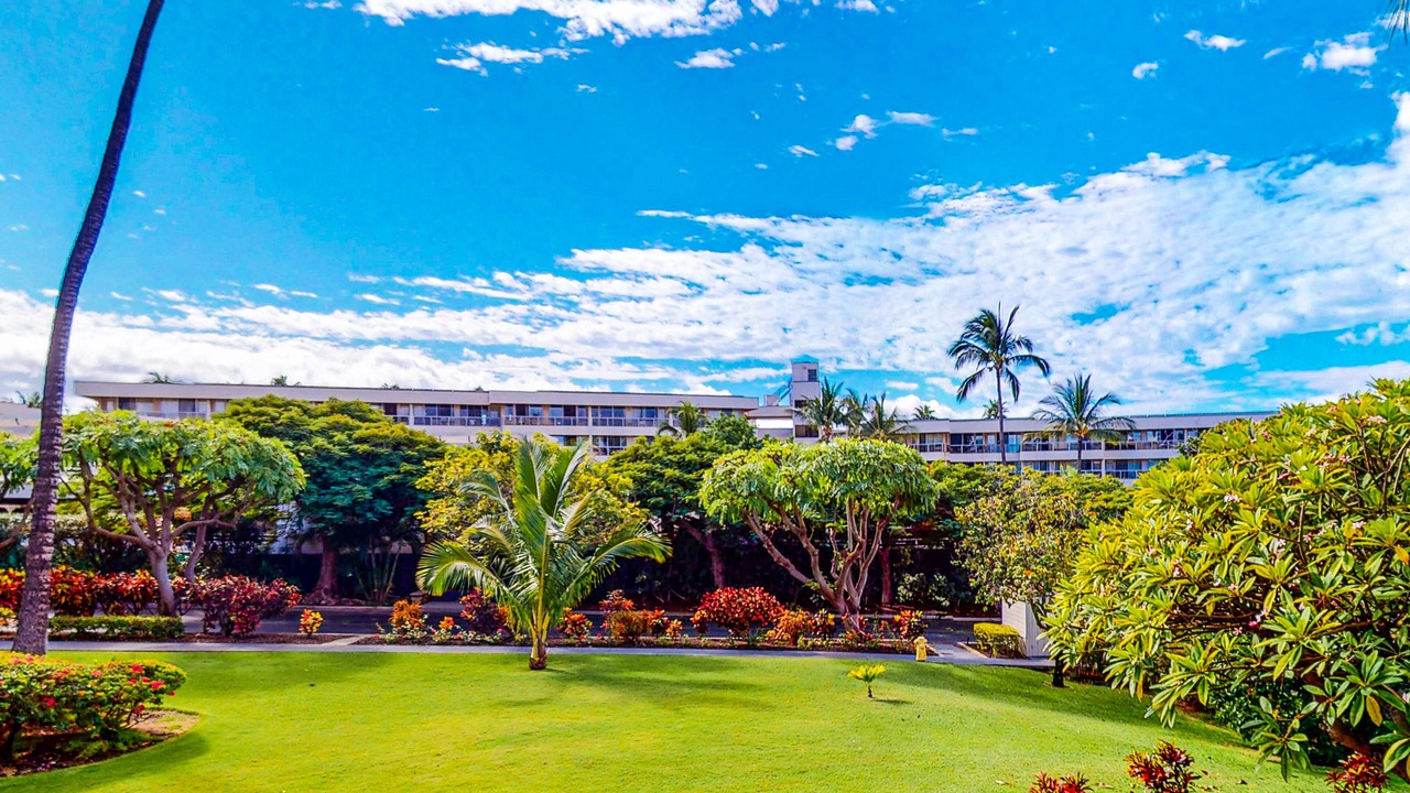 Photo of Outdoor in Kihei