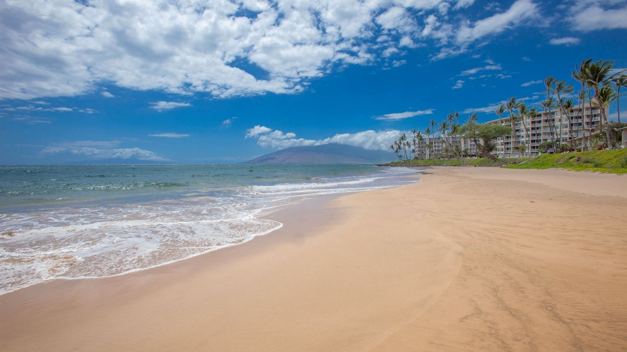 Photo of Others in Kihei