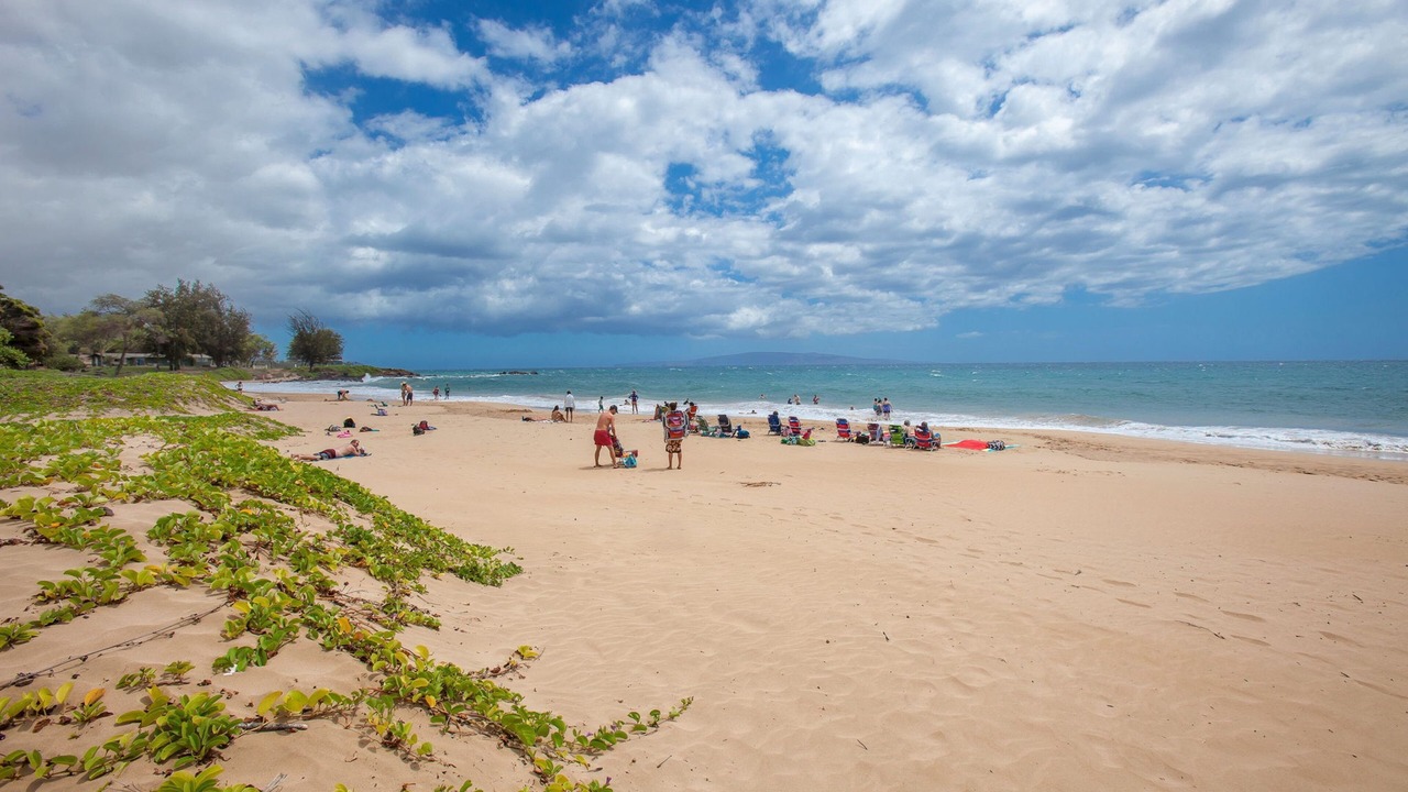 Photo of Others in Kihei
