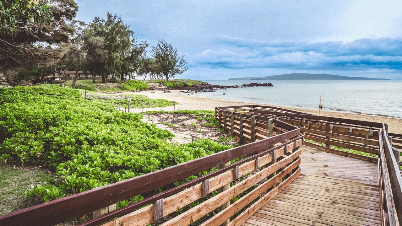Photo of Others in Kihei