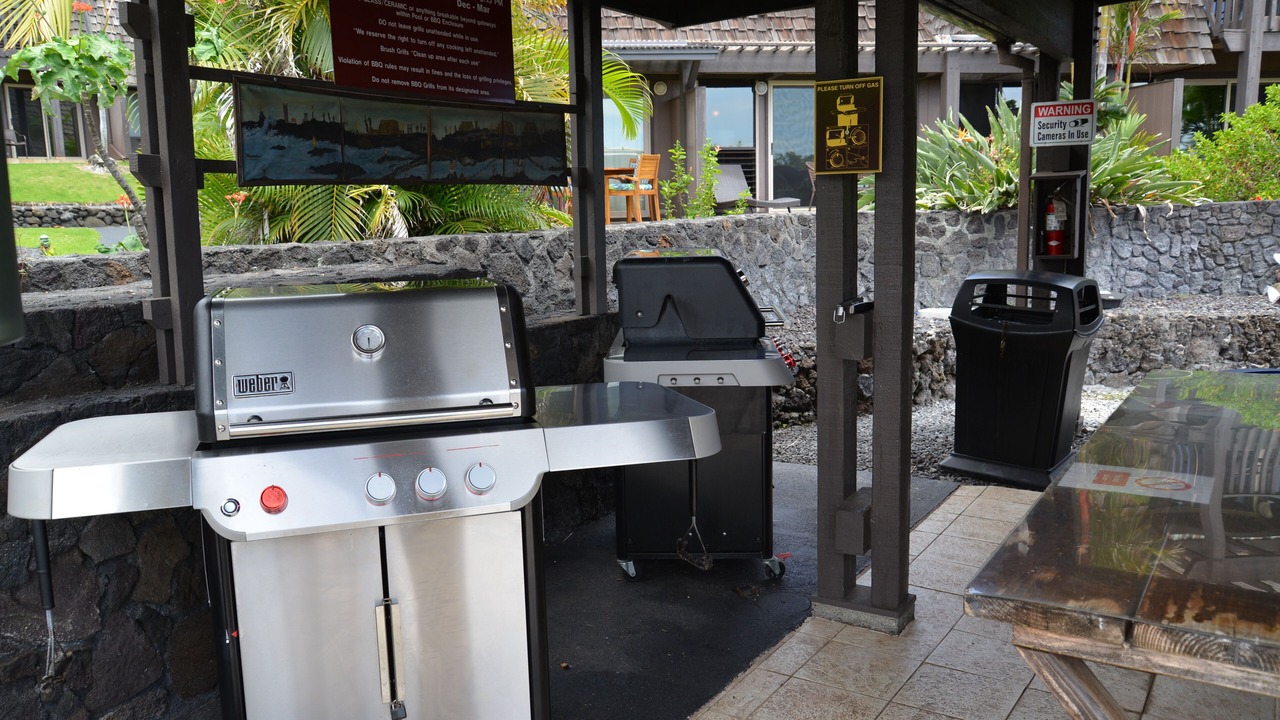 Photo of Outdoor in Punaluu