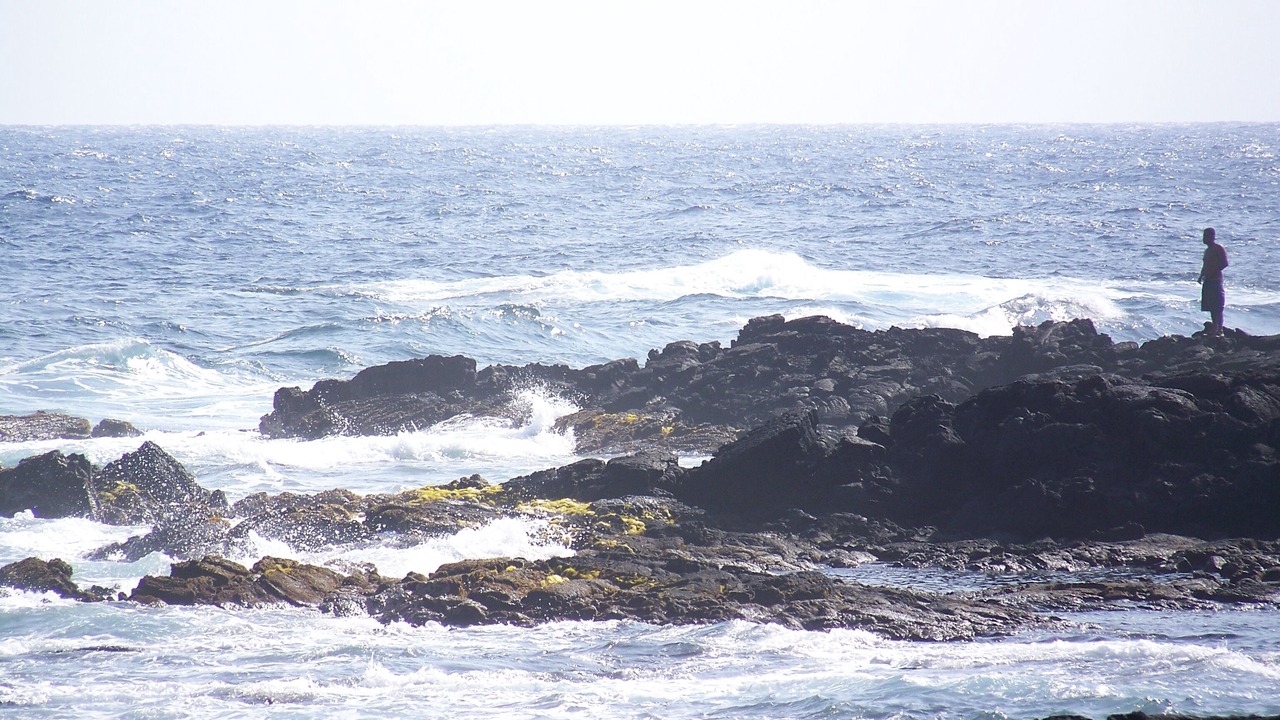 Photo of Others in Punaluu
