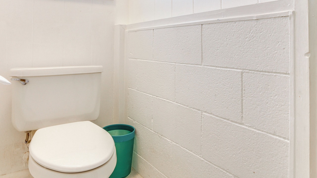 Photo of Bathroom in Hilo