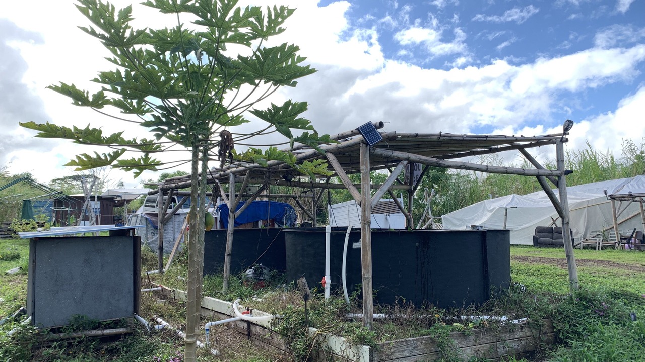 Photo of Outdoor in Orchidlands Estates