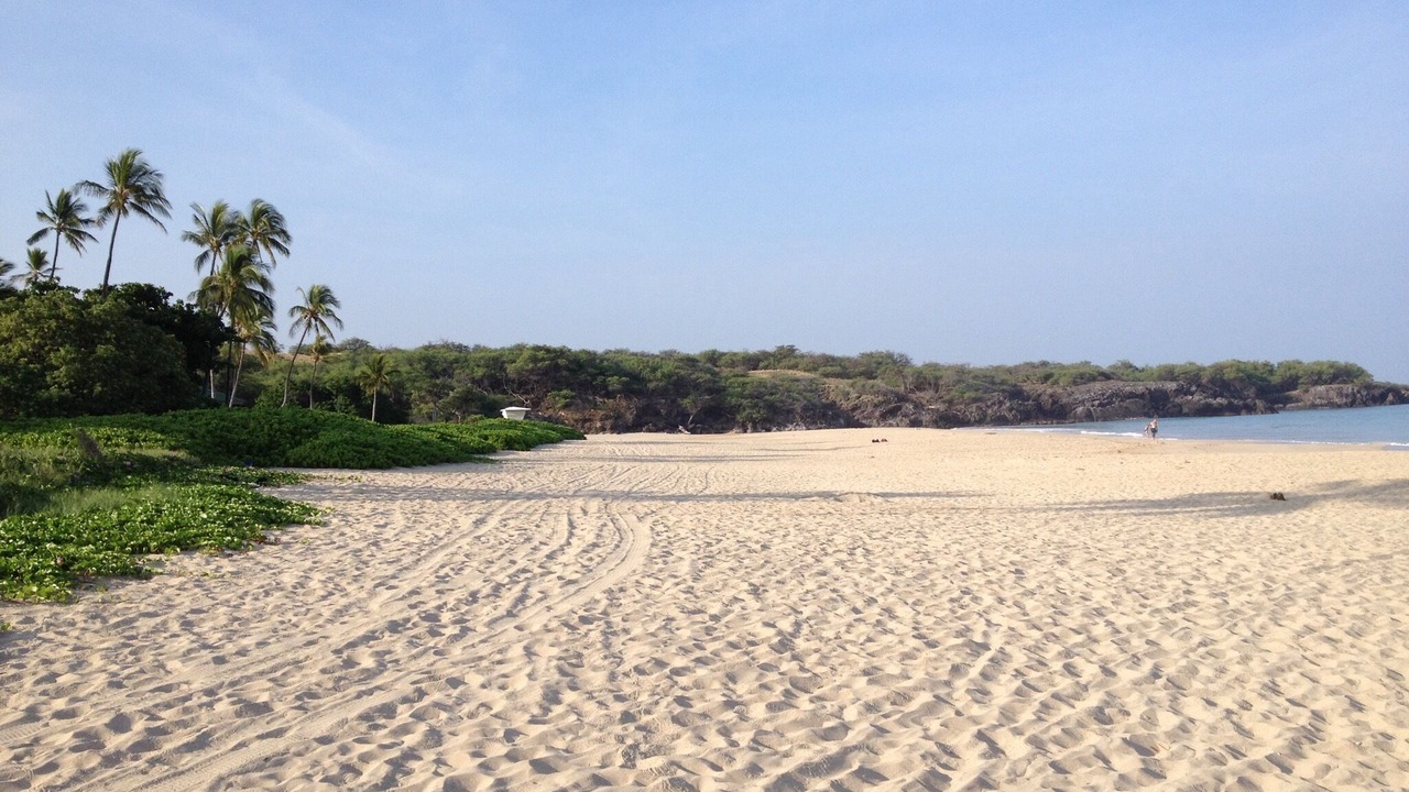 Photo of Others in Hawi