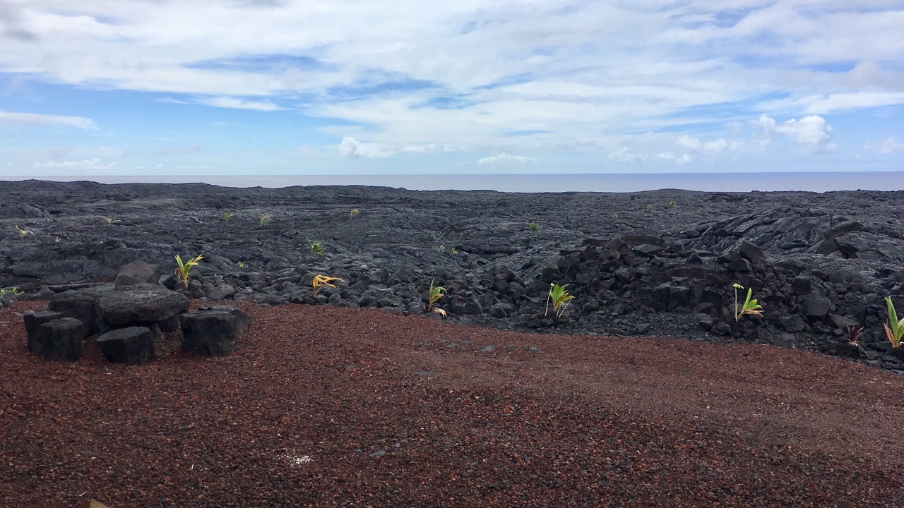 Photo of Others in Pahoa