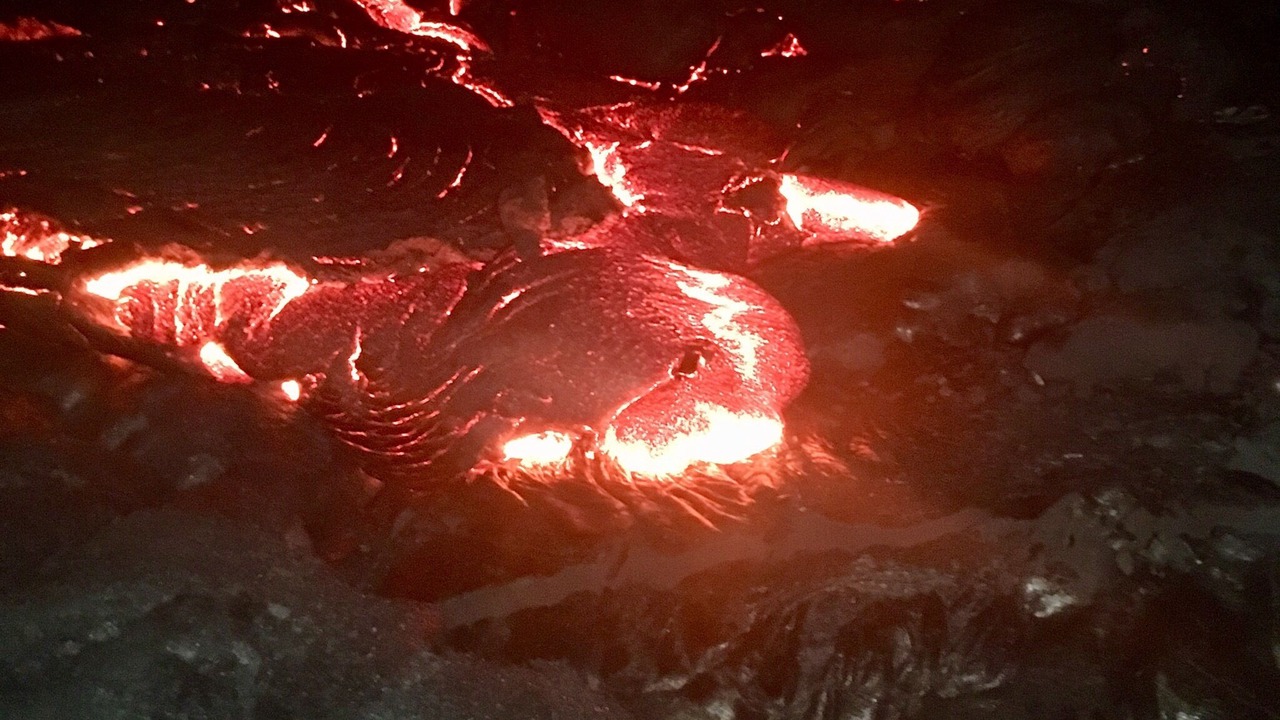 Photo of Outdoor in Pahoa