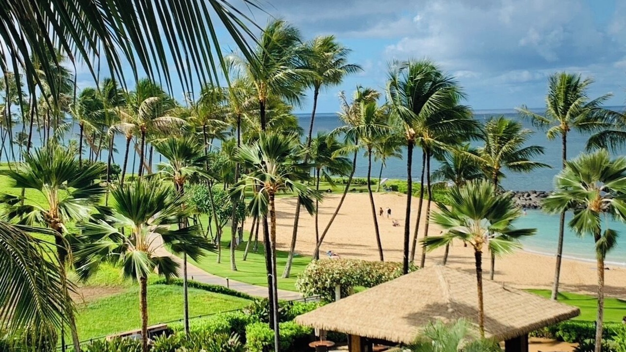 Photo of Others in Ko Olina