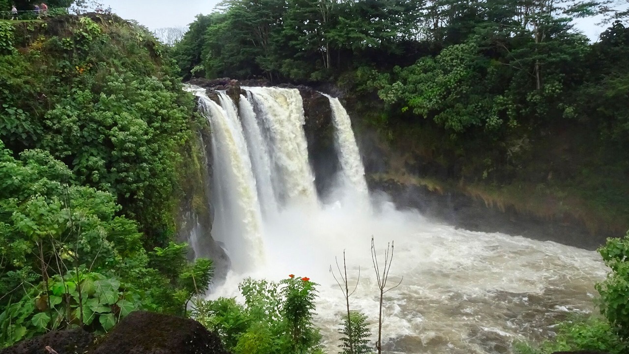 Photo of Others in Hilo