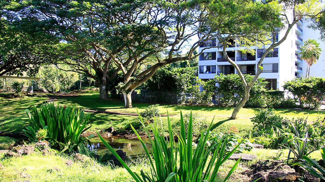 Photo of Others in Hilo