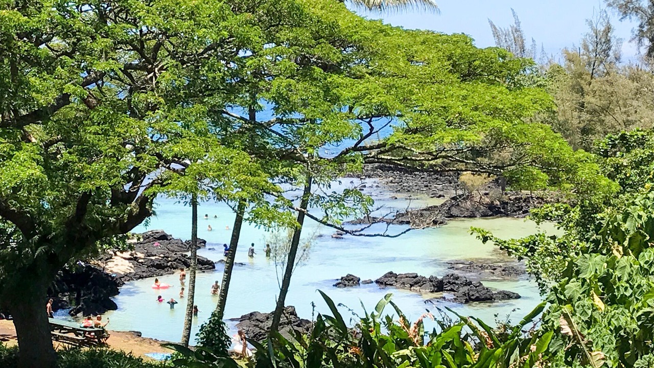 Photo of Others in Hilo