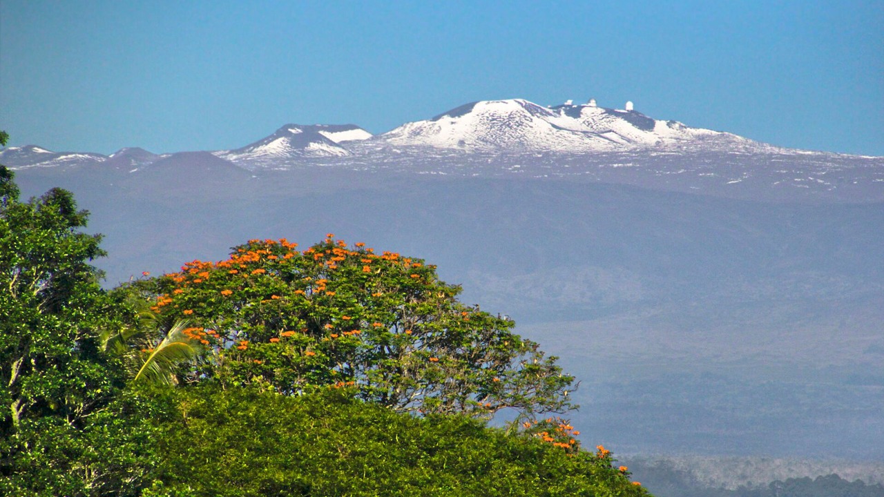 Photo of Others in Hilo