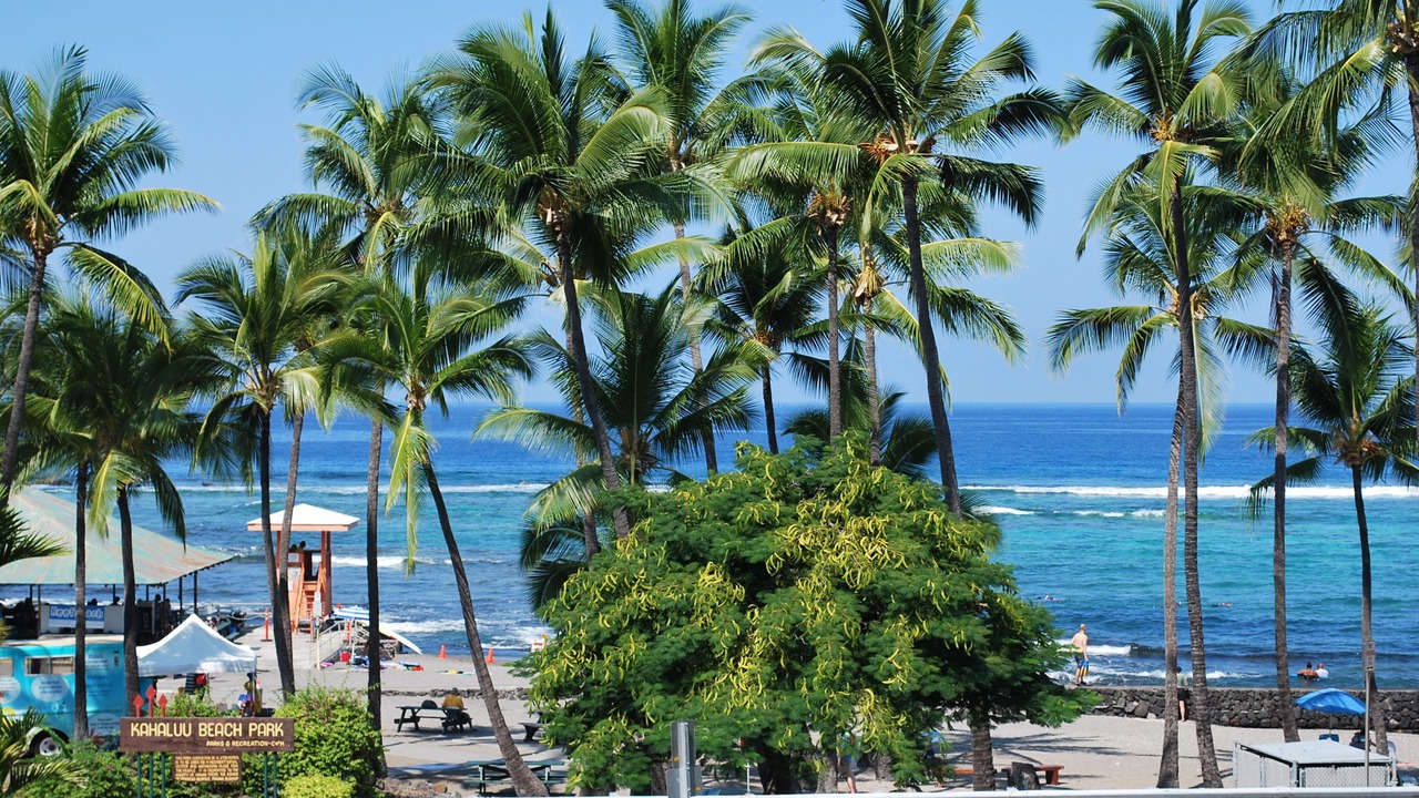 Photo of Others in Kahaluu Bay