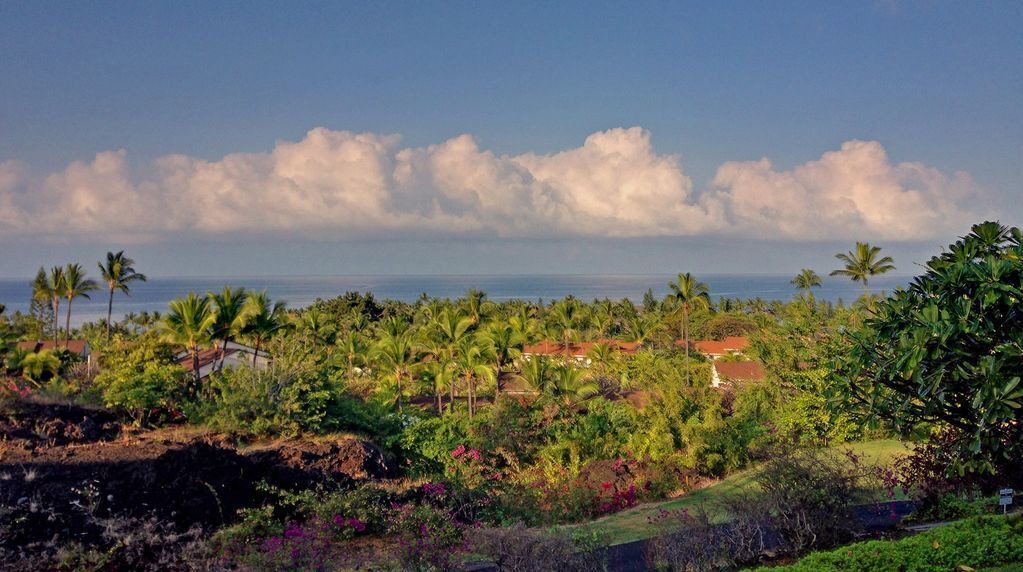 Photo of Others in Keauhou