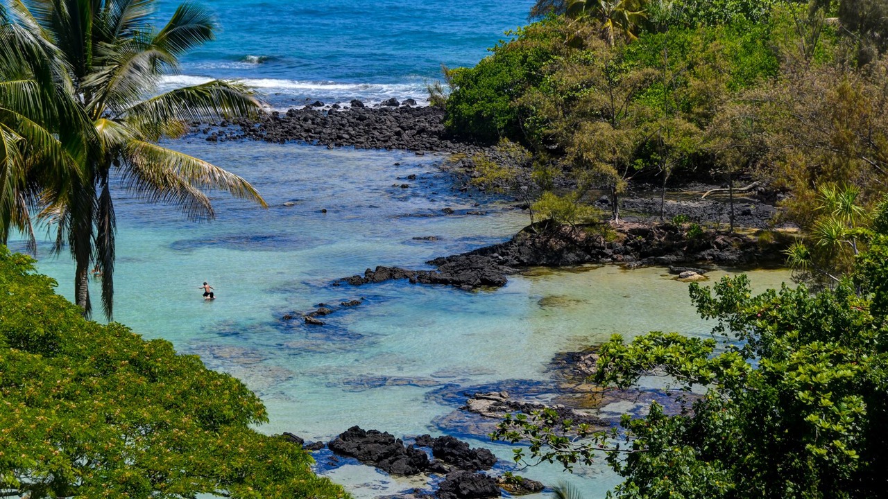 Photo of Others in Hilo