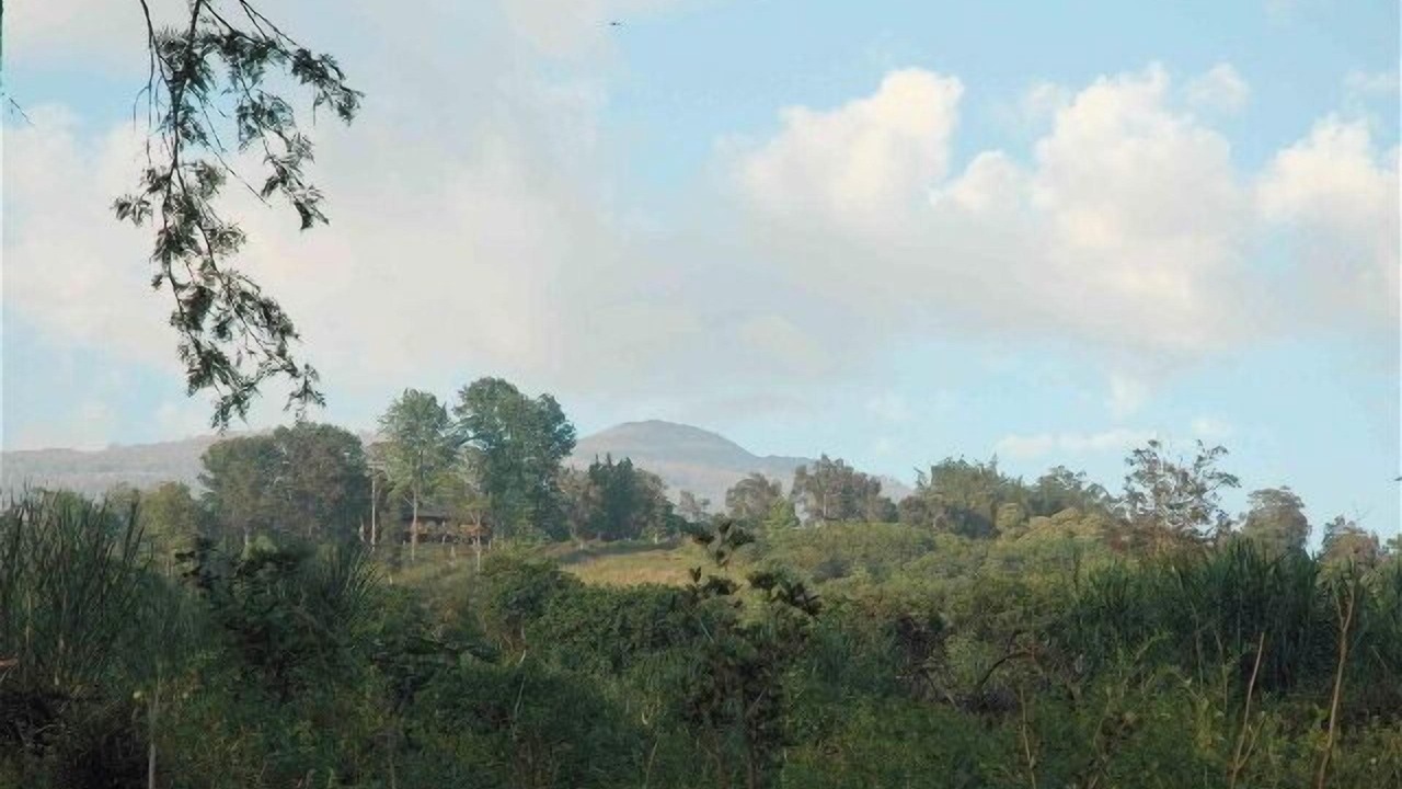 Photo of Others in Holualoa