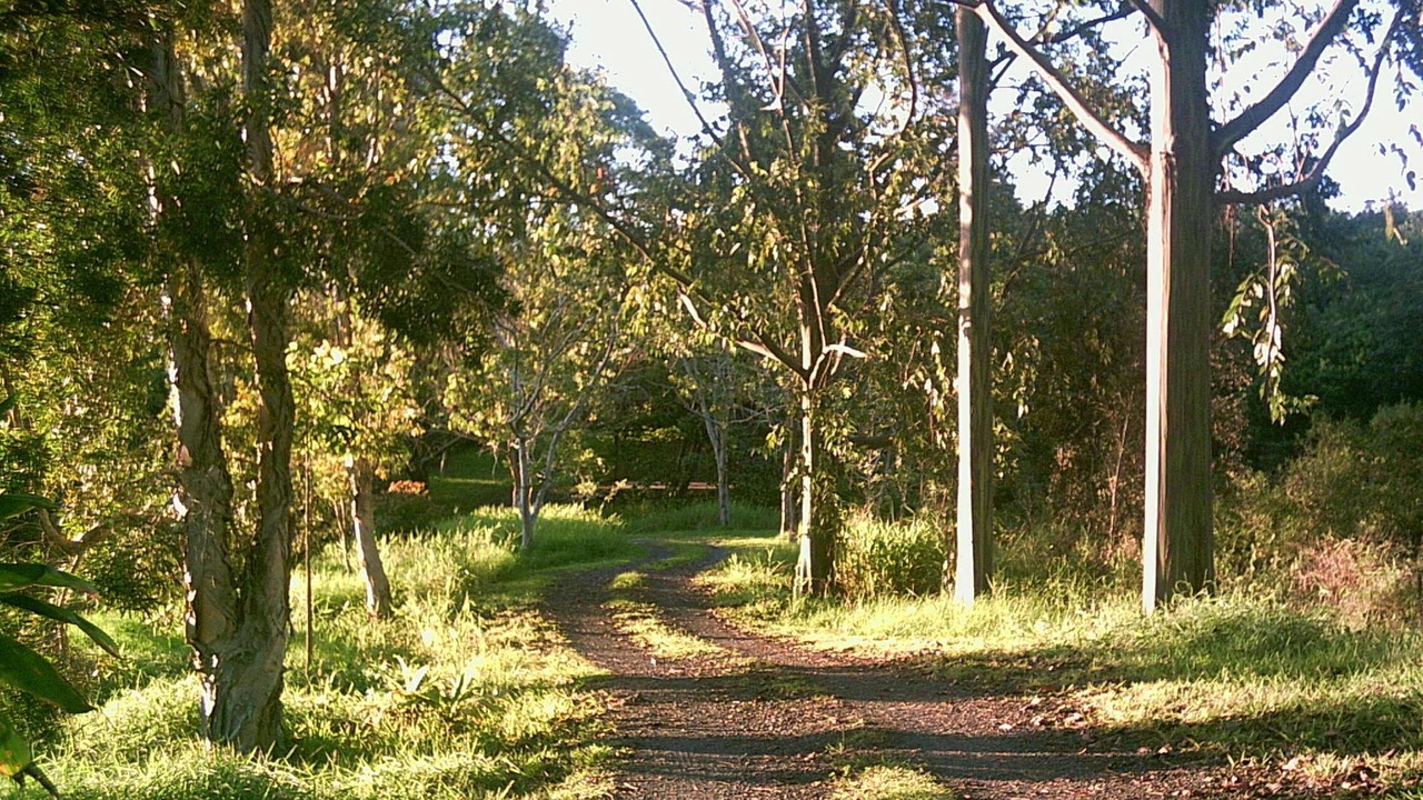 Photo of Outdoor in Holualoa