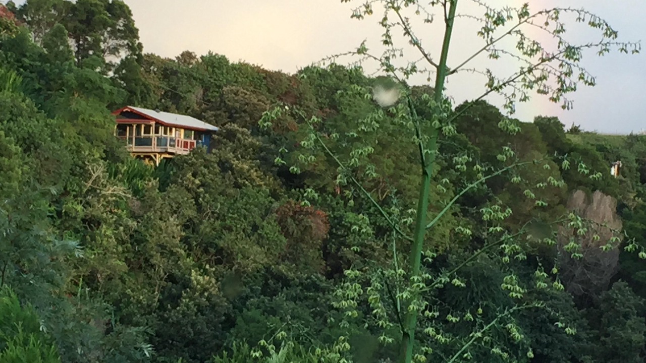 Photo of Others in Pauwela