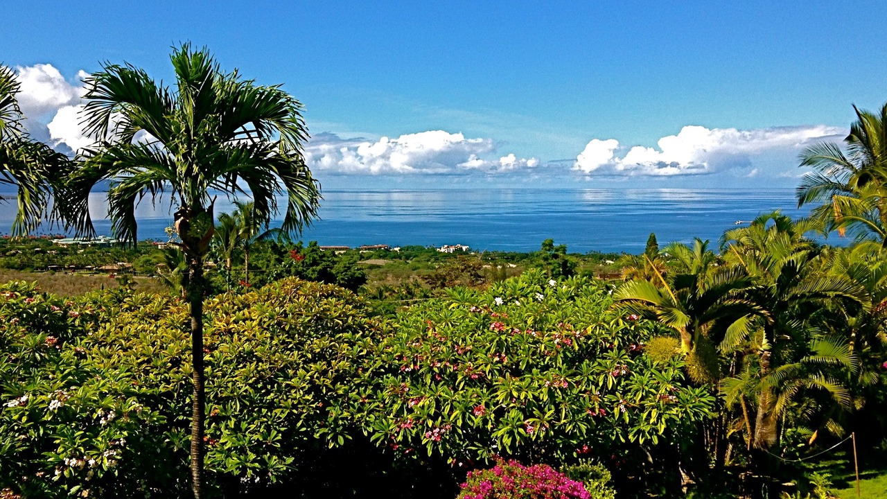Photo of Others in Wailea