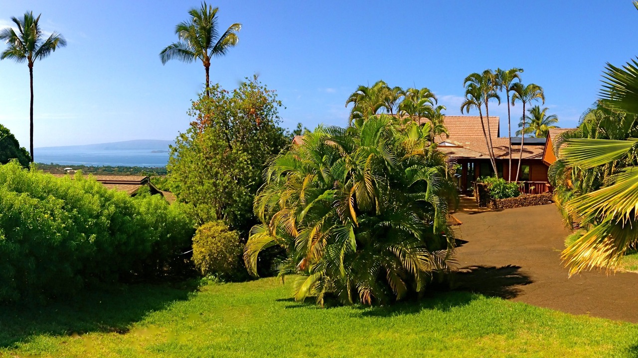 Photo of Others in Wailea