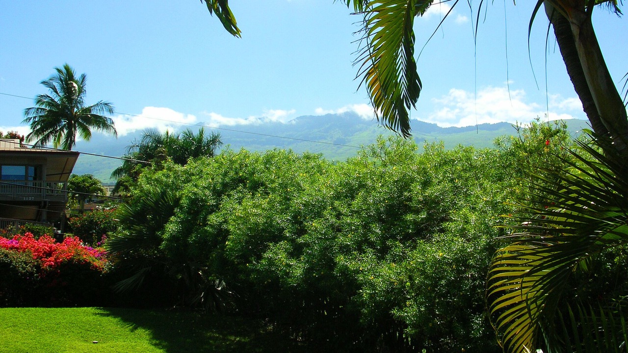 Photo of Others in Wailea