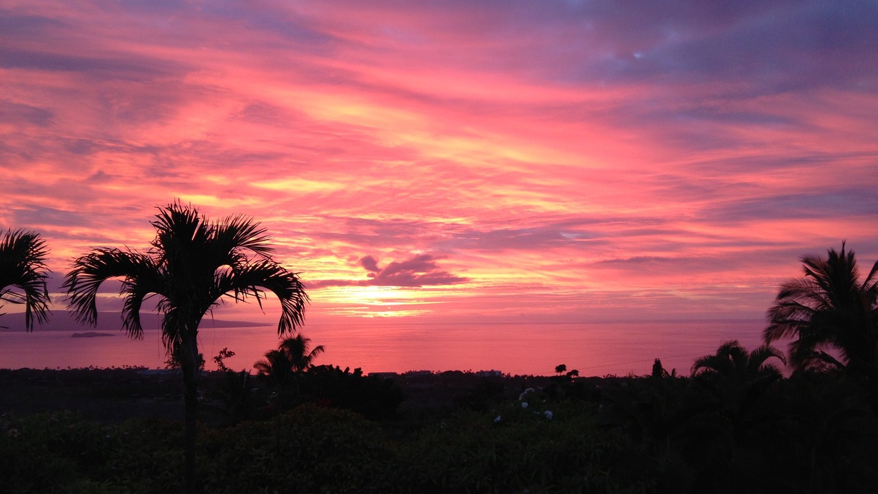 Photo of Others in Wailea