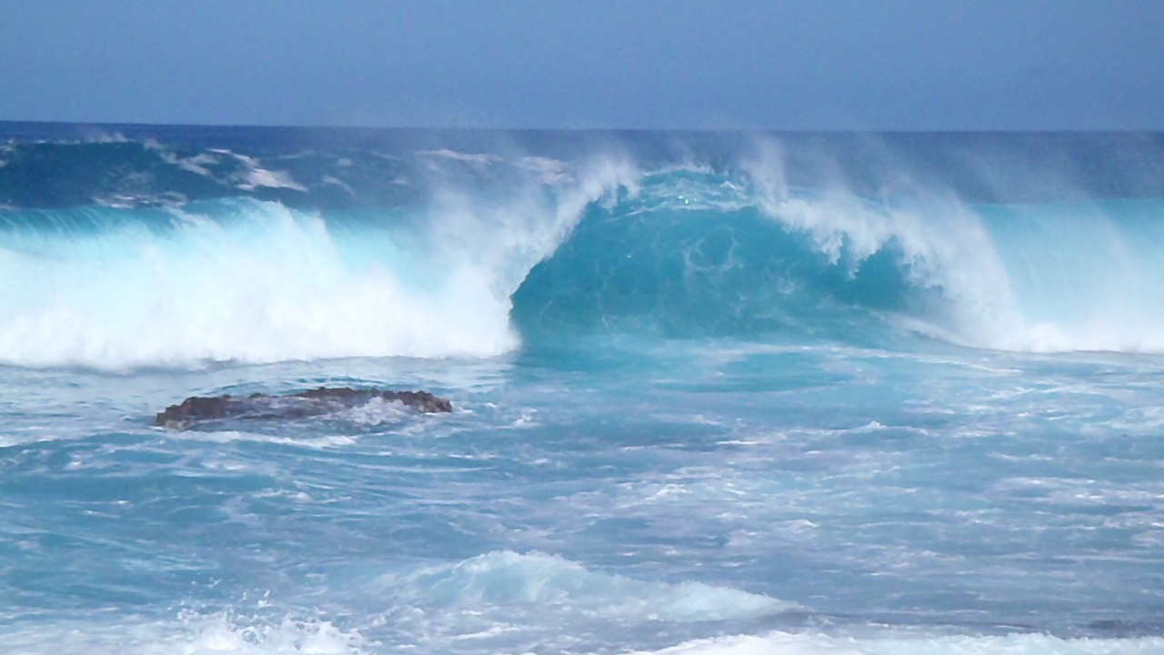 Photo of Others in Pupukea