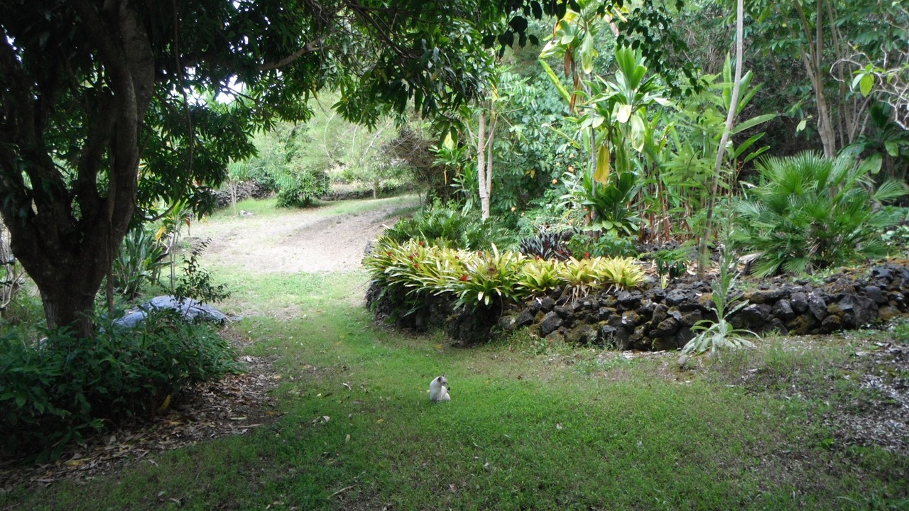 Photo of Outdoor in Opihihale
