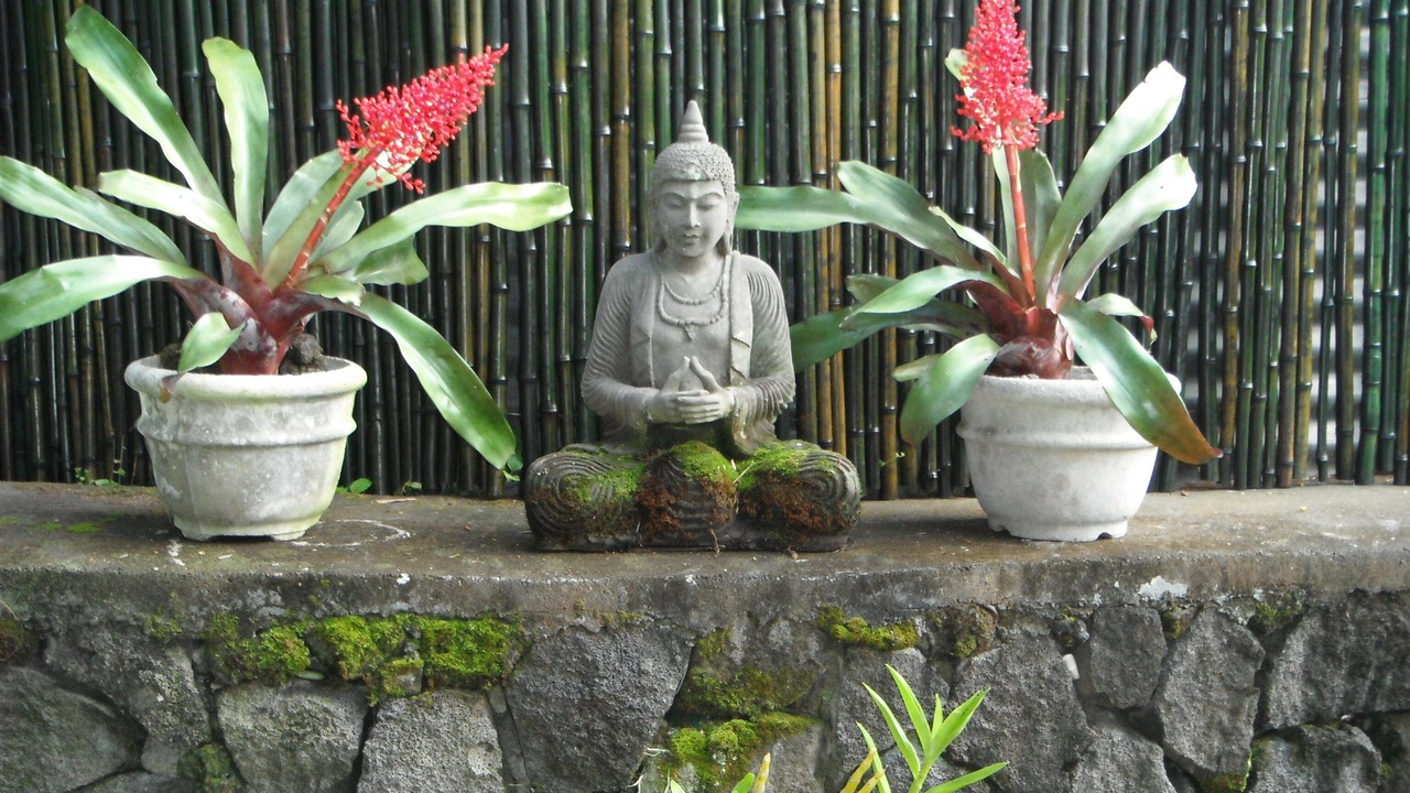 Photo of Outdoor in Opihihale