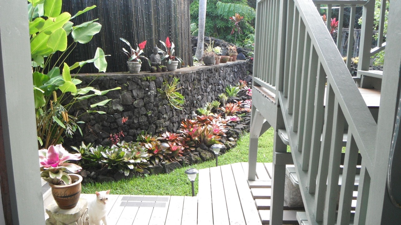 Photo of Outdoor in Opihihale