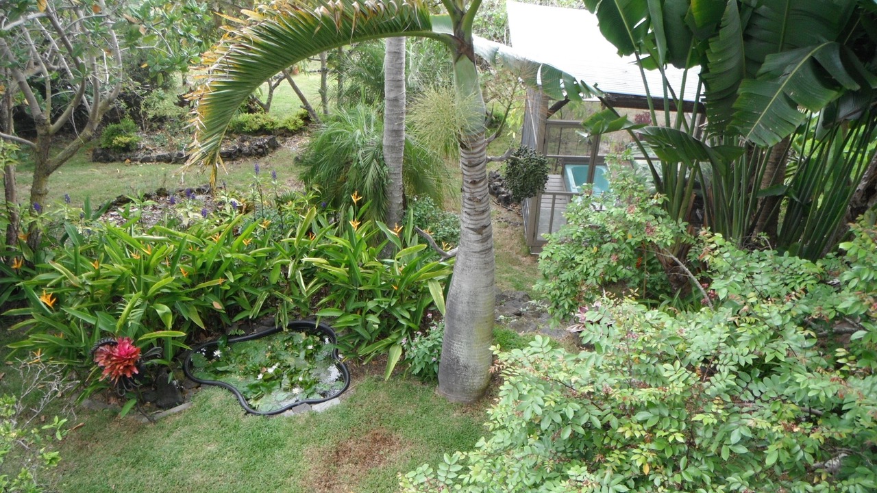 Photo of Bedroom in Opihihale