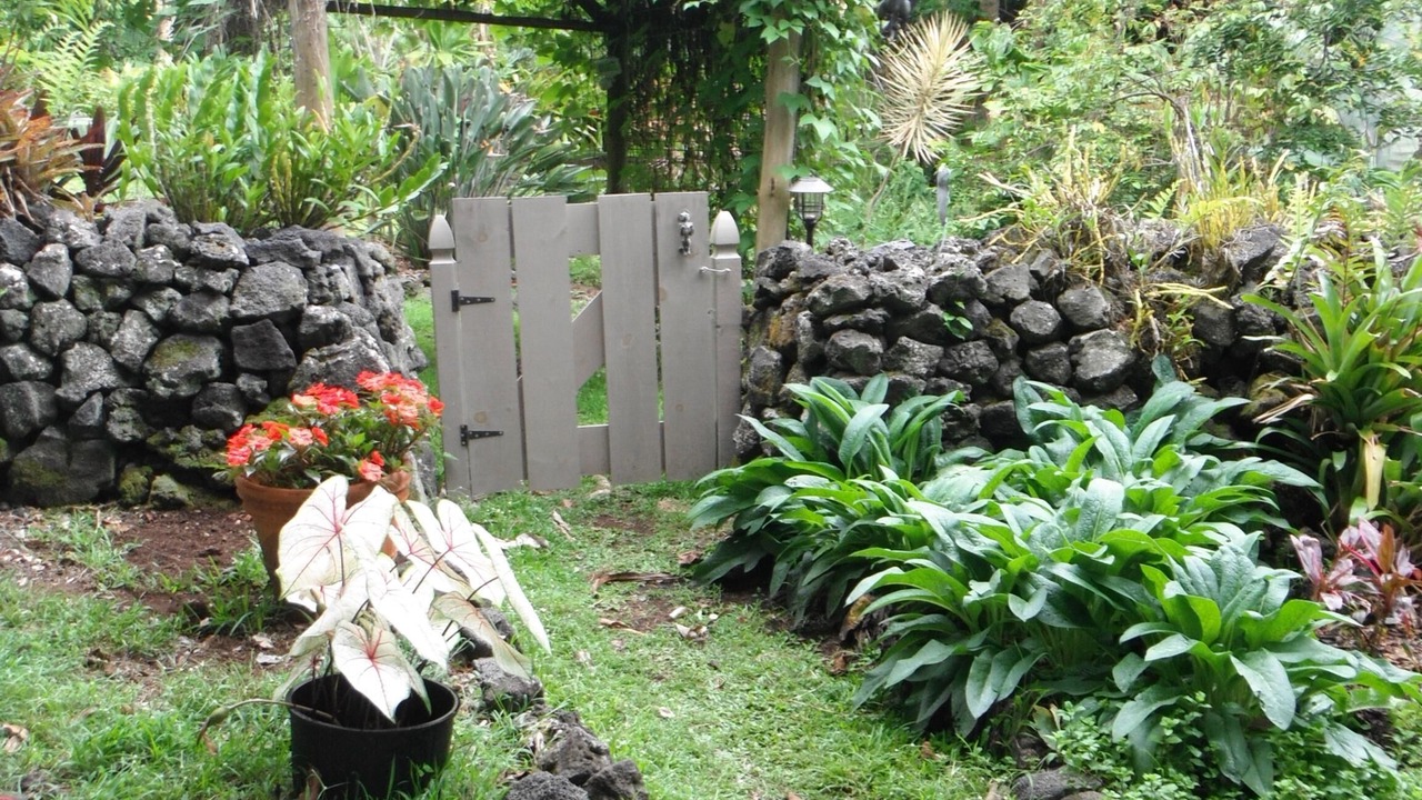 Photo of Others in Opihihale