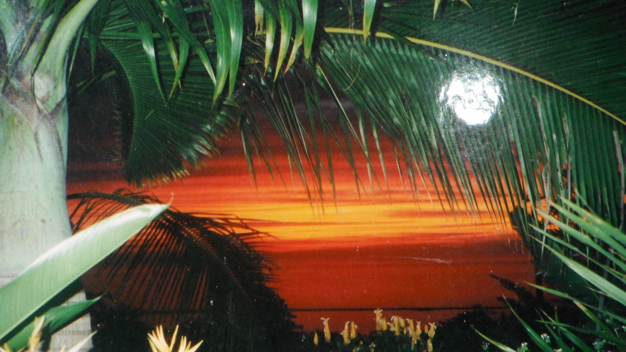 Photo of Others in Opihihale