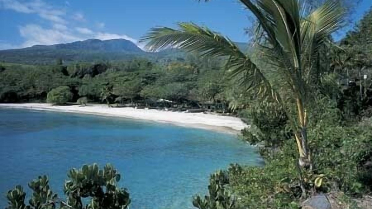 Photo of Others in Hana