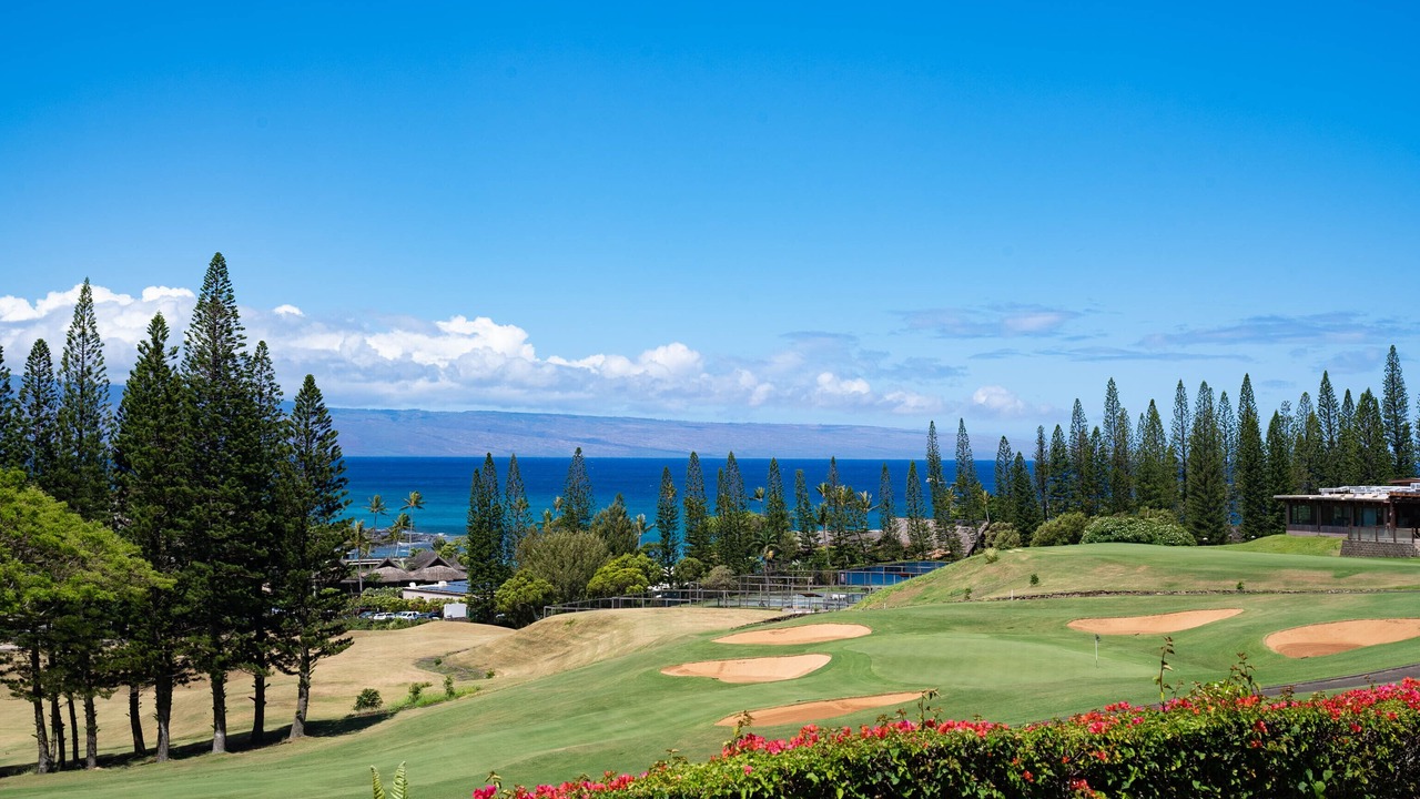 Photo of Others in Kapalua