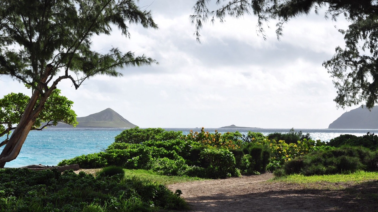 Photo of Others in Waimanalo