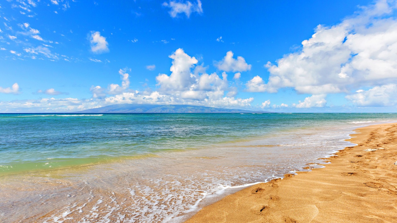Photo of Others in Napili-Honokowai