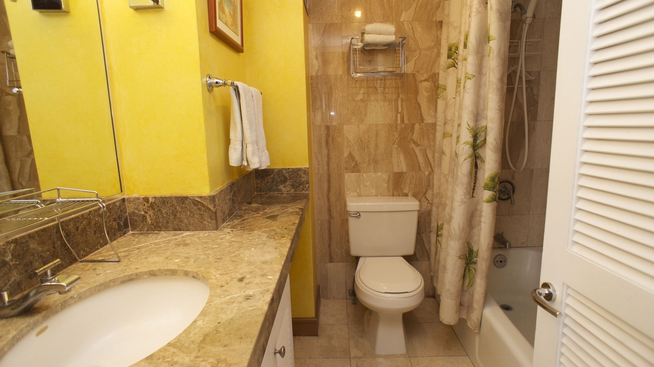 Photo of Bathroom in Waikiki