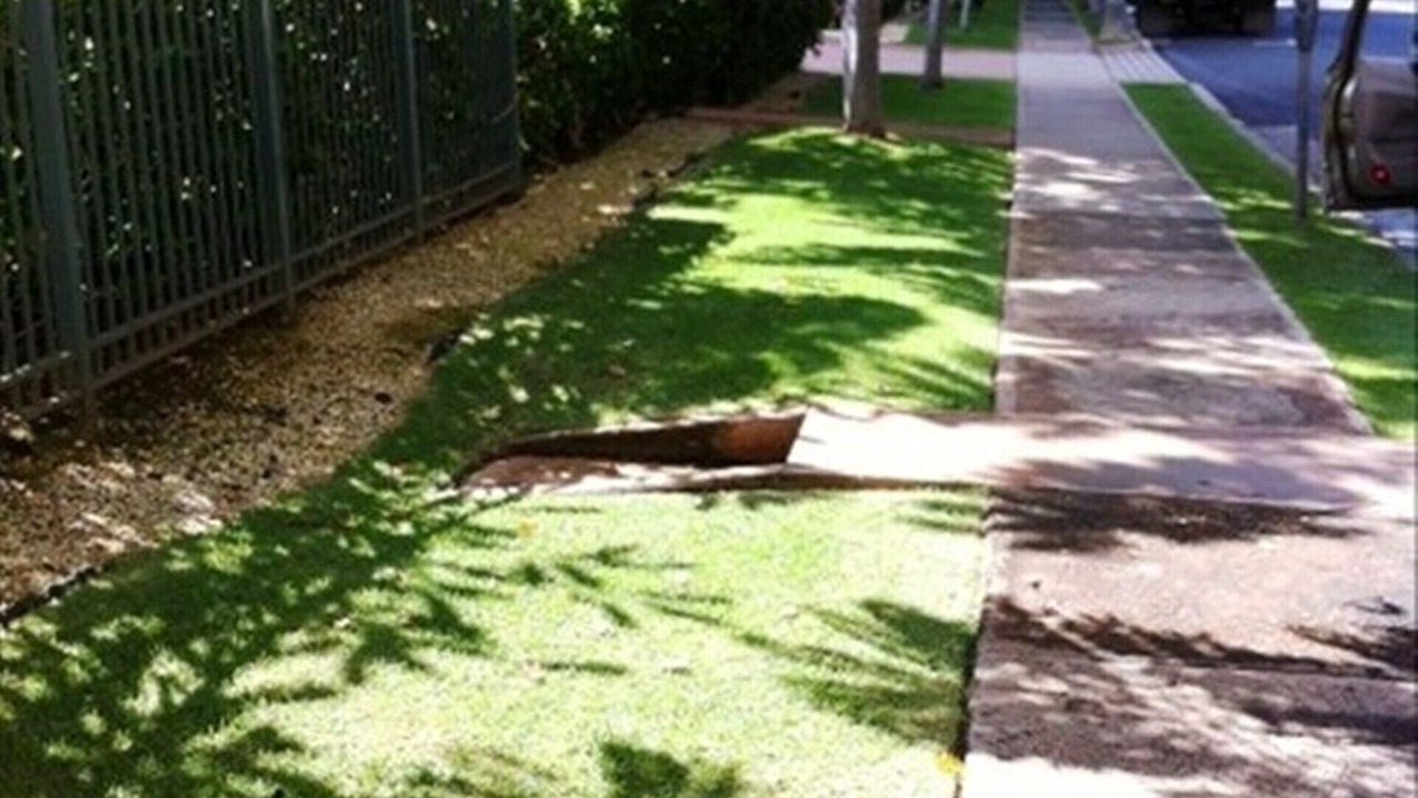 Photo of Others in Waikiki