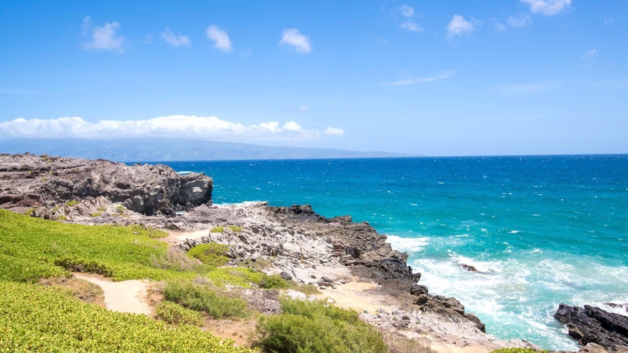 Photo of Others in Napili
