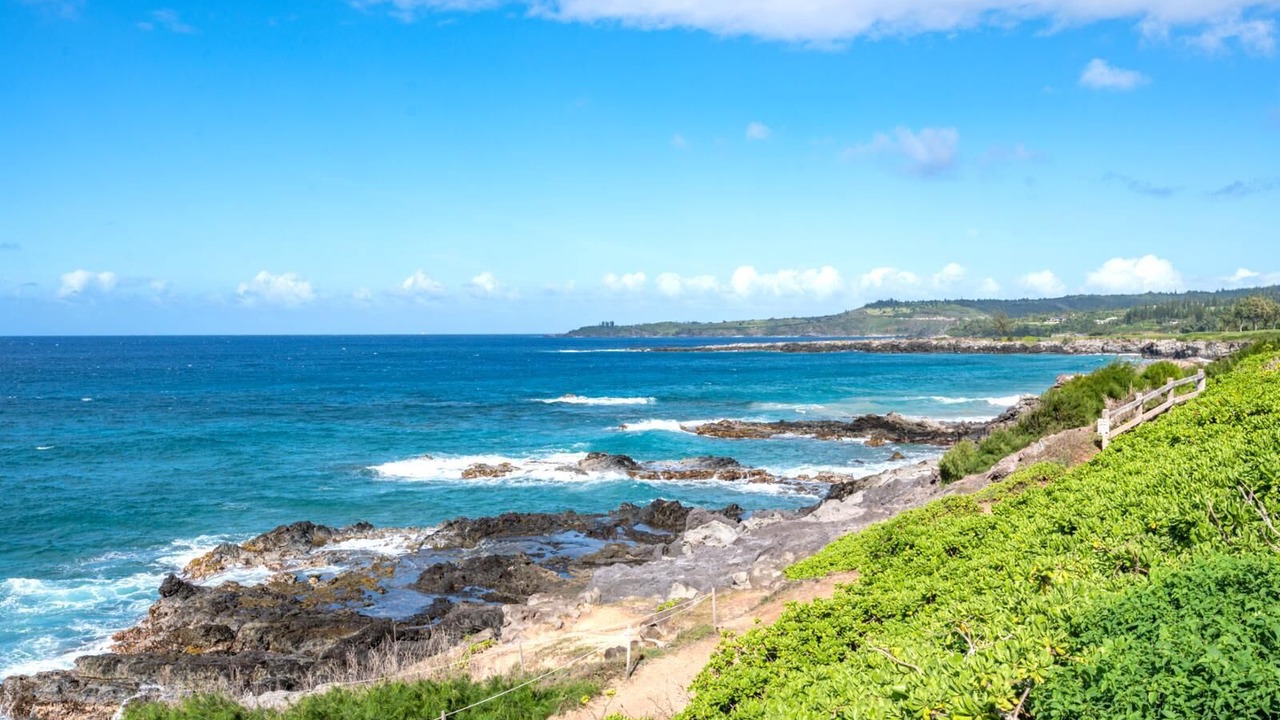 Photo of Others in Napili