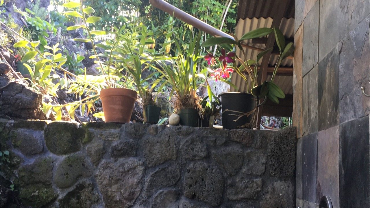 Photo of Outdoor in Kahaluu-Keauhou