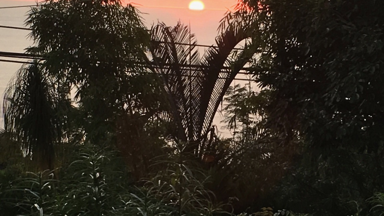 Photo of Others in Kahaluu-Keauhou