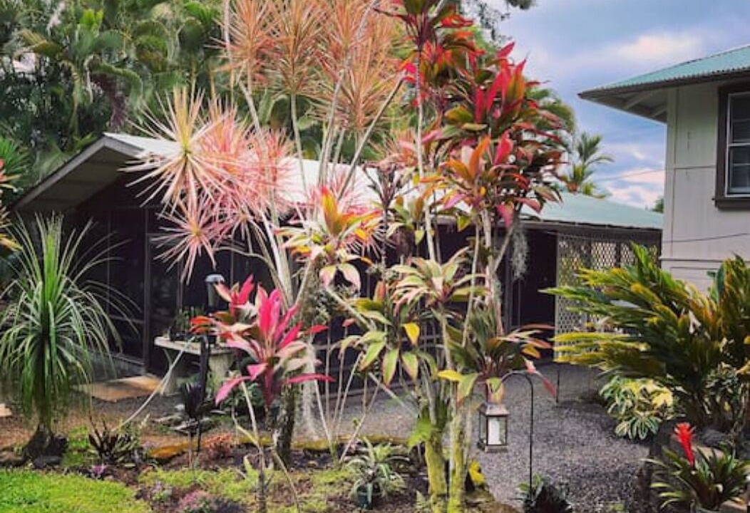Photo of Bedroom in Hilo