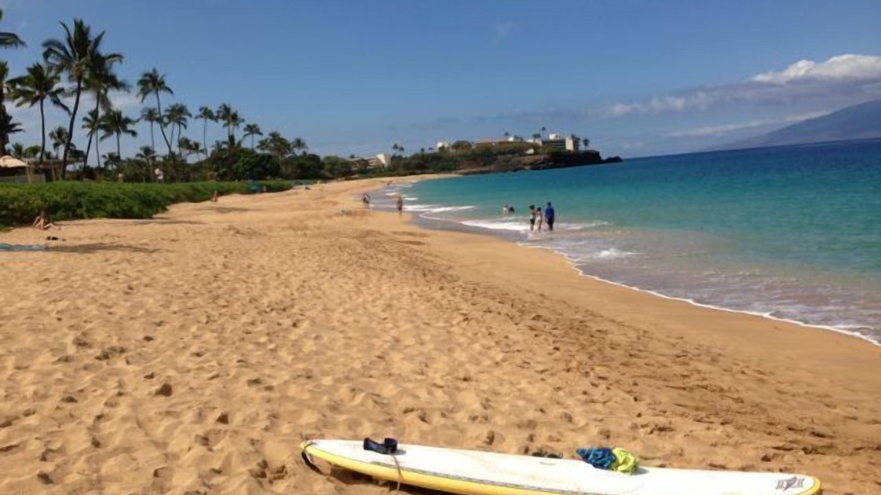 Photo of Others in Kaanapali