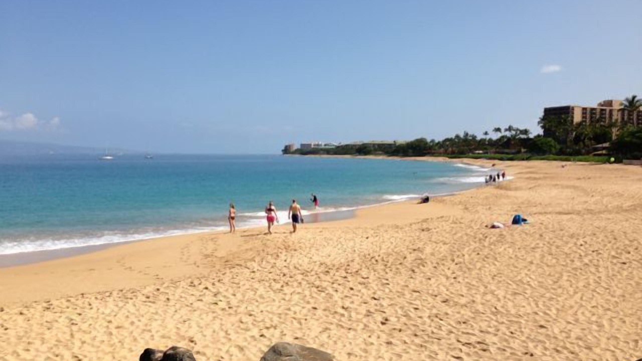 Photo of Others in Kaanapali