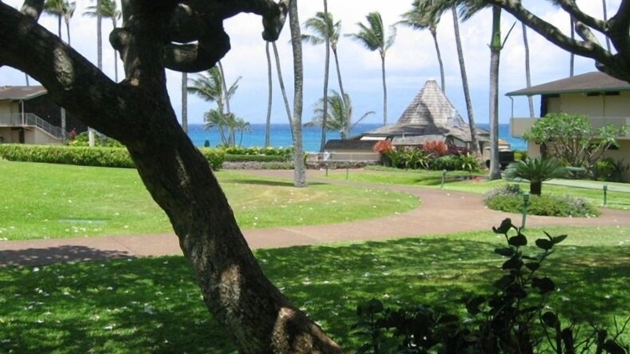 Photo of Outdoor in Napili
