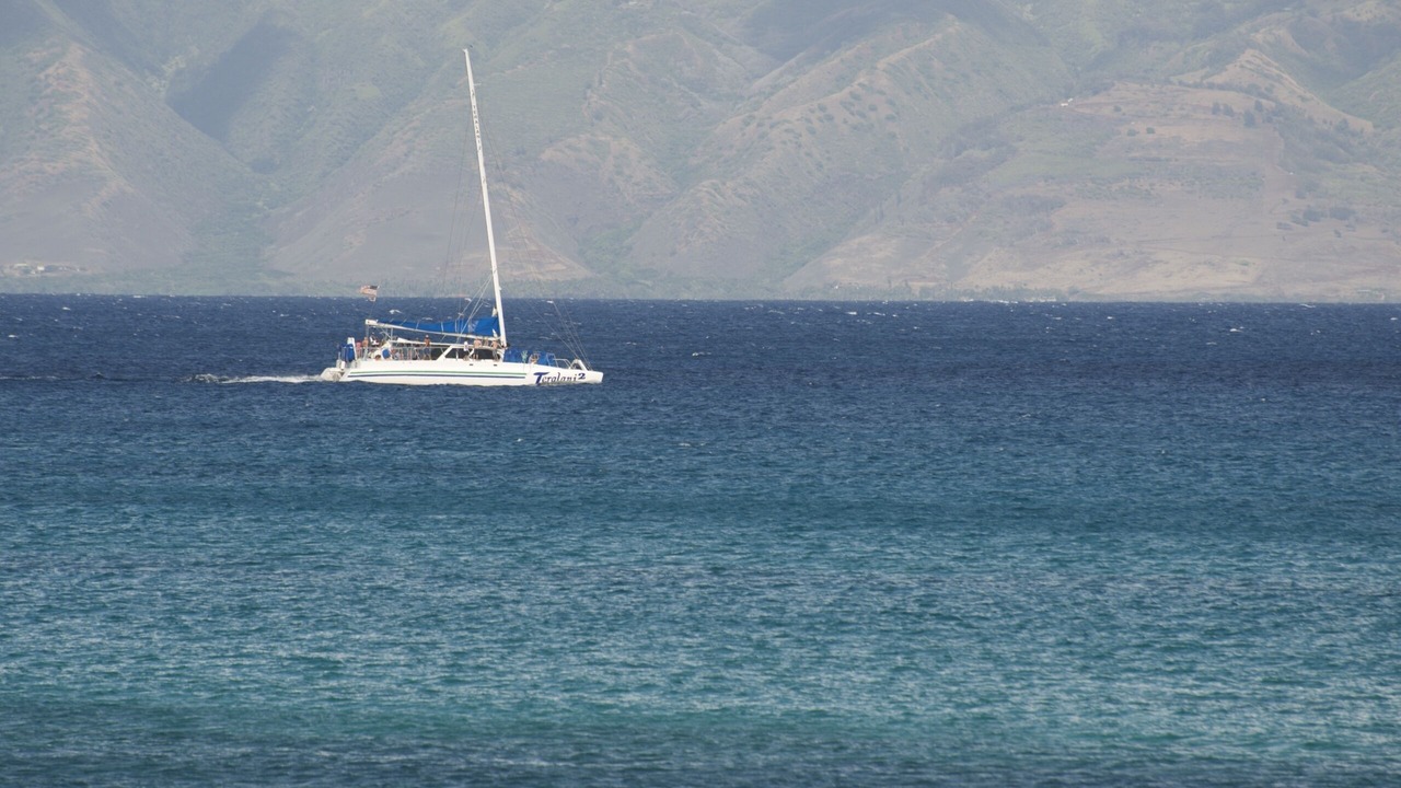 Photo of Others in Napili