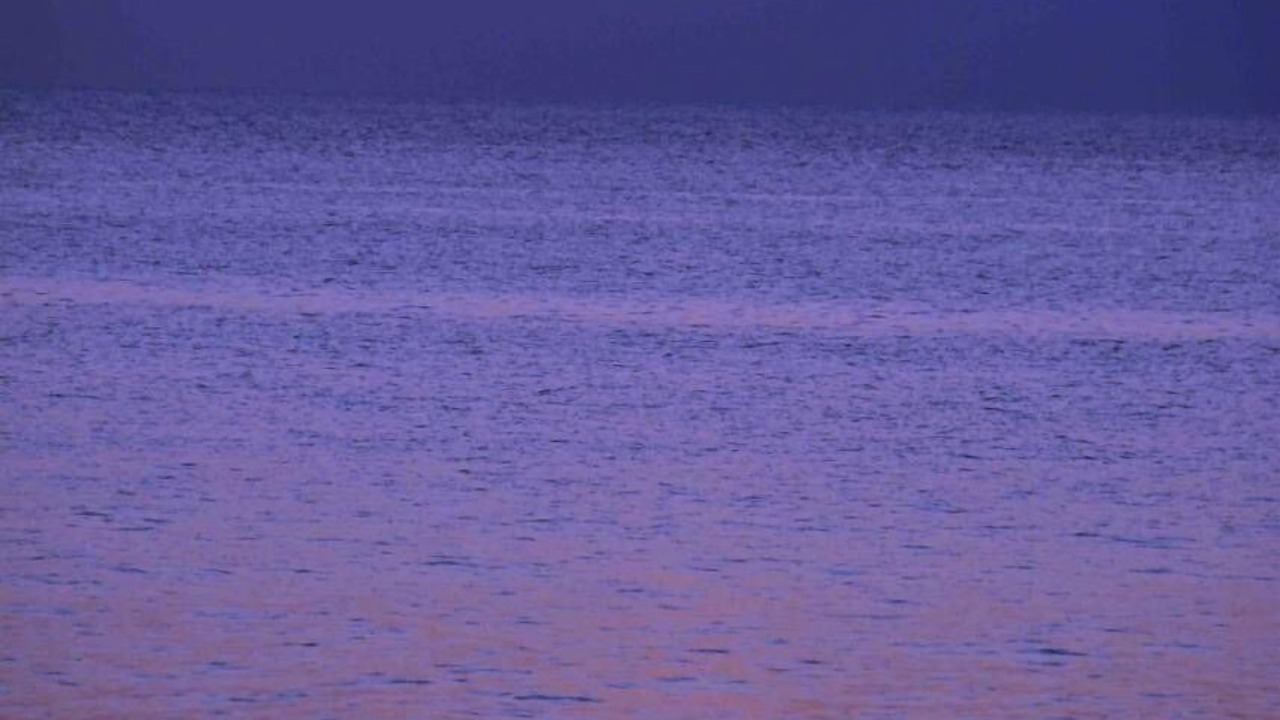 Photo of Others in Napili