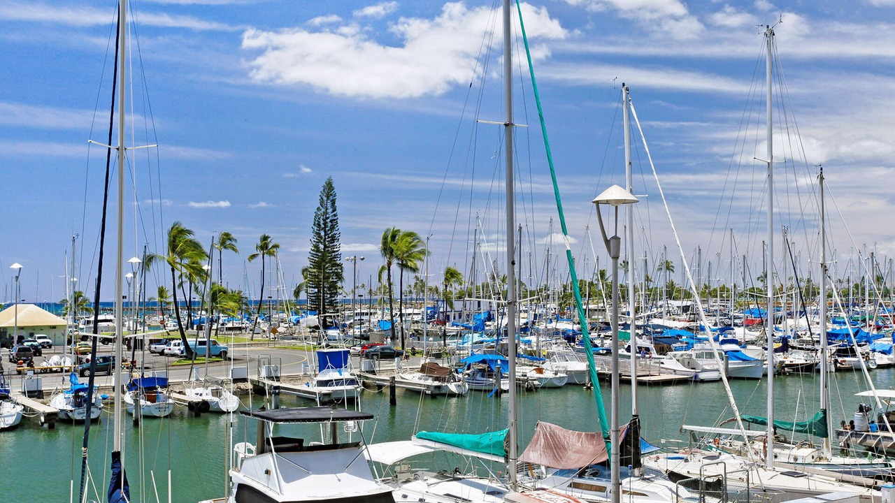 Photo of Others in Waikiki